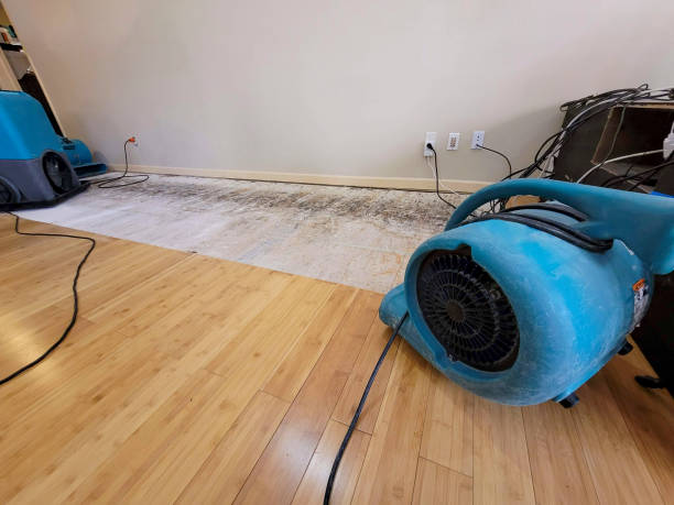Professional Water Damage Repair technician working in Luther, OK